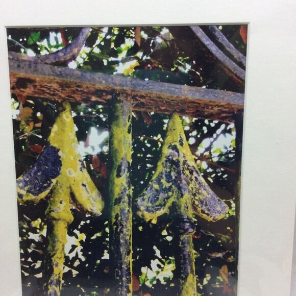 Rusted Iron Fence Color Photo Matted Art 11x14 Kaynard Photography Charleston SC - Picture 3 of 5